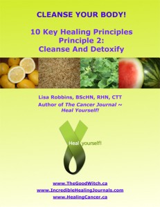 The 2nd Key Healing Principle is Cleanse Your Body ~ Download