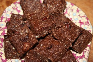 Raw Chocolate Cranberry Fudge Photo