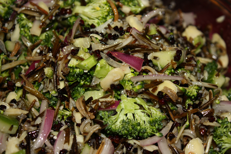 Raw Wild Rice Cranberry and Broccoli Salad