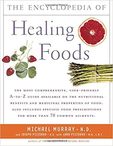 Encyclopedia of Healing Foods by Michael T Murray ND